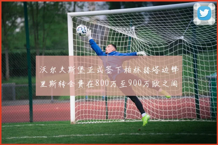 沃尔夫斯堡正式签下柏林赫塔边锋里斯转会费在800万至900万欧之间